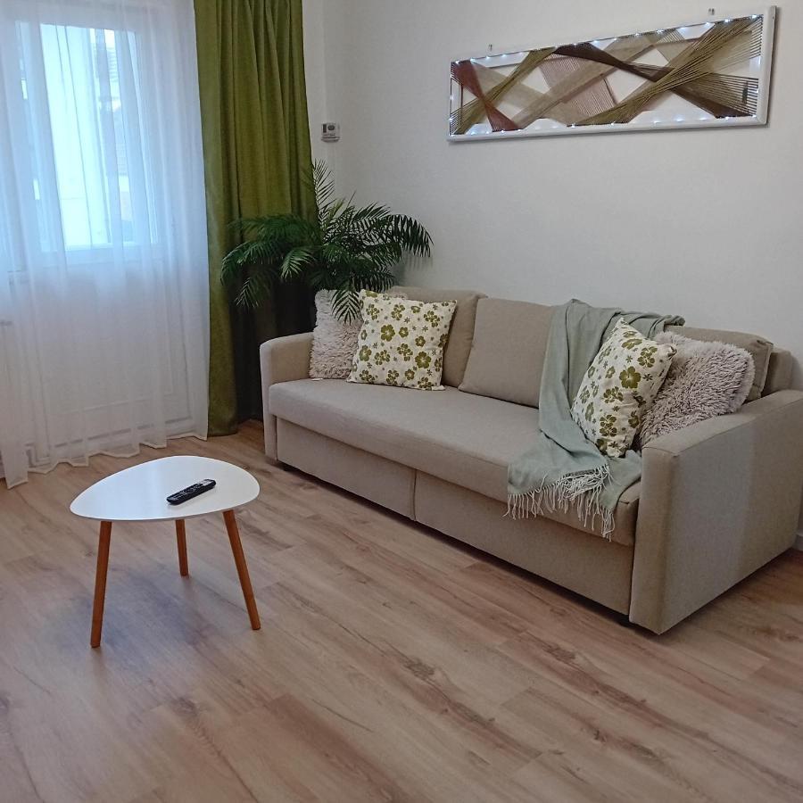 Harmonyhouse Lägenhet Braşov Exteriör bild